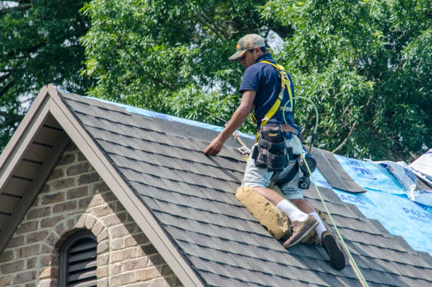 Best Roof Gutter Cleaning  in Sully Square, VA